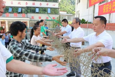保安鄉 巧手編織致富路 藤藝培訓促增收